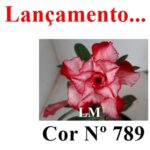 ENXERTO 10121 – 22cm (cor LM 789) - Imagem 7