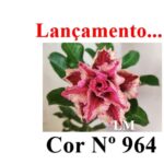 ENXERTO 12587 – 20cm (cor LM 964) - Imagem 7