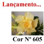 ENXERTO COR LM 605