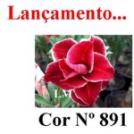 ENXERTO COR LM 891