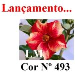 ENXERTO 10561 – 35cm (cor LM 493) - Imagem 7