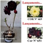 ENXERTO 10566 – 25cm (cor LM 469 e LM 651)