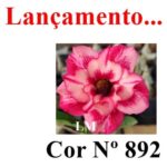 ENXERTO 11230 - 25cm (cor LM 892) - Imagem 7