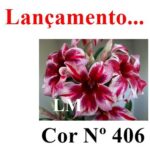 ENXERTO COR LM 406