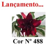 ENXERTO 11420 – 30cm (cor LM 488) - Imagem 7