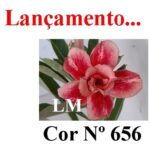 ENXERTO 11416 – 30cm (cor LM 656) - Imagem 7