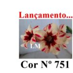 COR ENXERTO LM 751