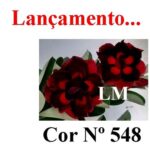 ENXERTO 11649 – 35cm (cor LM 548) - Imagem 6