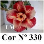 ENXERTO 11627 – 30cm (cor LM 330) - Imagem 10