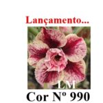 ENXERTO COR LM 990