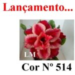 ENXERTO 11674 – 30cm (cor LM 514) - Imagem 7