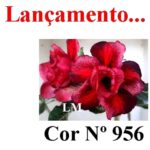 ENXERTO 11679 – 30cm (cor LM 956) - Imagem 7