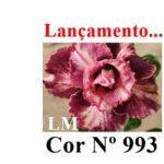 ENXERTO COR LM 993