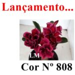 ENXERTO 11711 – 30cm (cor LM 808) - Imagem 7