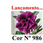 ENXERTO 11724 – 20cm (cor LM 986)