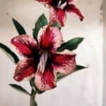 Planta Simples 2570 – 30cm – 02 anos