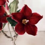 Planta Simples 2613 – 30cm – 02 anos