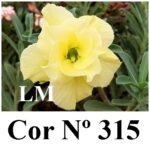 ENXERTO 11752 – 20cm (cor LM 315)