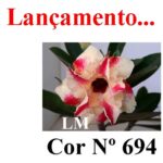 ENXERTO 11775 – 35cm (cor LM 694) - Imagem 9