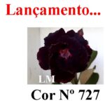 ENXERTO 11764 – 22cm (cor LM 727)