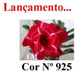 ENXERTO 11755 – 30cm (cor LM 925) - Imagem 9