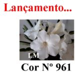 ENXERTO 11736 – 20cm (cor LM 961)