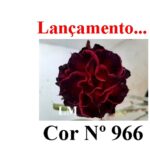 ENXERTO 11750 – 20cm (cor LM 966)