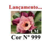 ENXERTO 11734 – 20cm (cor LM 999)