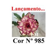 ENXERTO 11784 – 20cm (cor LM 985)