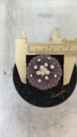 ASTROPHYTUM ASTERIAS “Purple”  Nº 828 – vaso 09