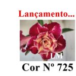 ENXERTO 11884 – 20cm (cor LM 725) - Imagem 7