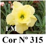 ENXERTO 11816 (2) – 20cm (cor LM 315)