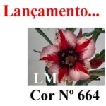 ENXERTO 11822 – 20cm (cor LM 664)