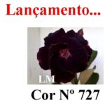 ENXERTO 11867 – 25cm (cor LM 727) - Imagem 8