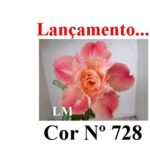 ENXERTO 11823 – 20cm (cor LM 728)