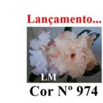 ENXERTO 11834 – 30cm (cor LM 974) - Imagem 7