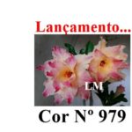 ENXERTO 11872 – 20cm (cor LM 979)