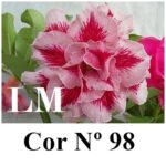 ENXERTO 11836 – 40cm (cor LM 98) - Imagem 11