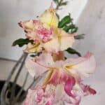 Planta Dobrada 3029 – 35cm – 03 anos