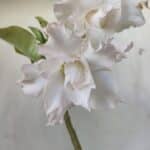 ENXERTO 11835 – 25cm (cor LM 615)