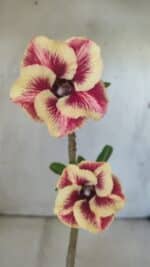 Planta Simples 2796 – 30cm – 02 anos - Imagem 8