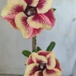 Planta Simples 2796 – 30cm – 02 anos