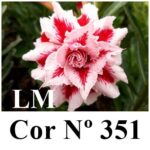 ENXERTO 11915 – 22cm (cor LM 351) - Imagem 8