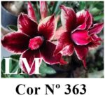 ENXERTO 11929 – 30cm (cor LM 363) - Imagem 9