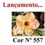 ENXERTO 11918 – 25cm (cor LM 557) - Imagem 7