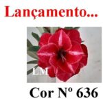 ENXERTO 11921 – 40cm (cor LM 636 e LM 848) - Imagem 10