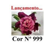 ENXERTO 11909 – 20cm (cor LM 999) - Imagem 6