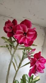 ENXERTO 11921 – 40cm (cor LM 636 e LM 848) - Imagem 3