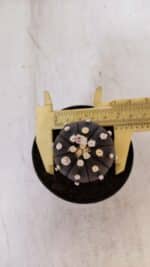 ASTROPHYTUM ASTERIAS “Purple”  Nº 865 (2) – vaso 09 - Imagem 5