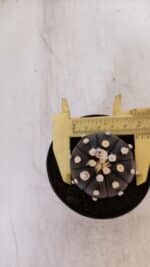 ASTROPHYTUM ASTERIAS “Purple”  Nº 865 (2) – vaso 09 - Imagem 10